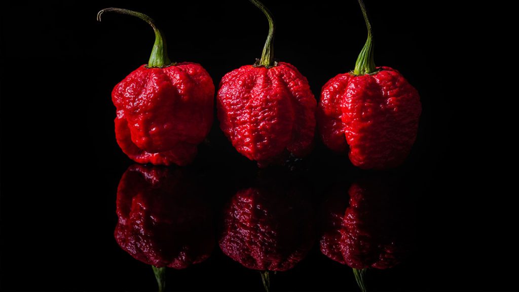 Carolina reaper