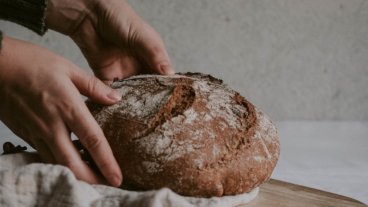 Kovászvilág – Mikroorganizmusok titkos élete a kovászstarterekben