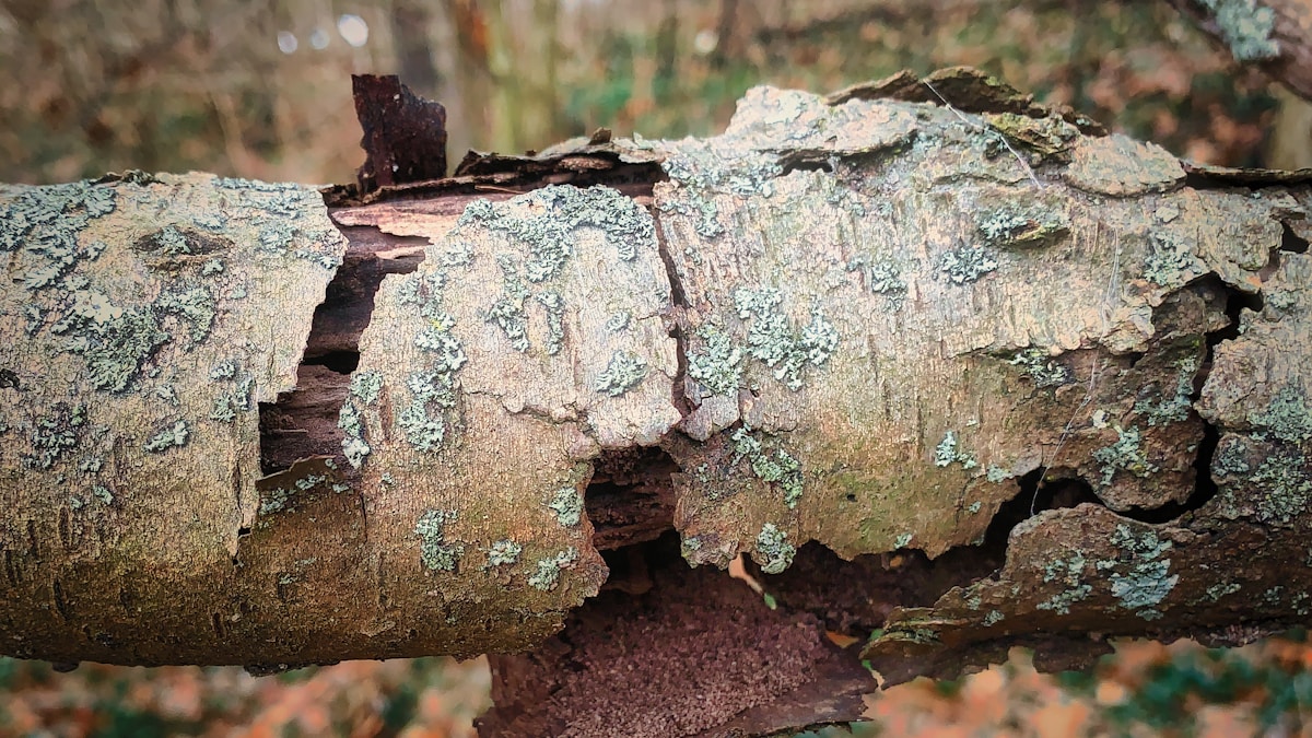 Kelly Reichardt zseniális bűnügyi filmje Kelly Reichardt zseniális bűnügyi filmje