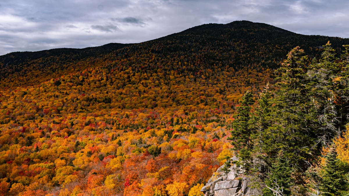 Magyarország egyéves mentesség Trumptól az orosz energia szankciók alól