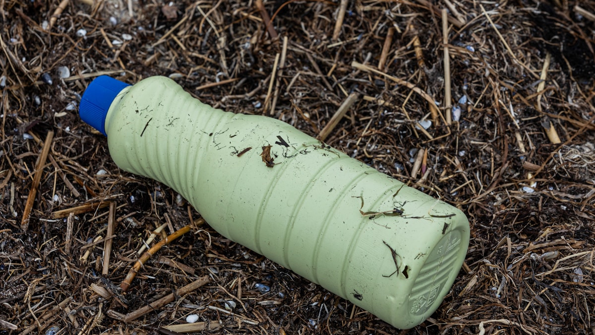 Örök vegyszerek a konyhában