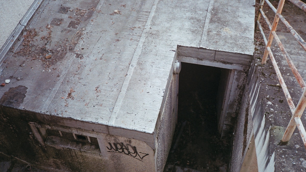 Új csapdaajtós pókfaj felfedezése Új csapdaajtós pókfaj felfedezése