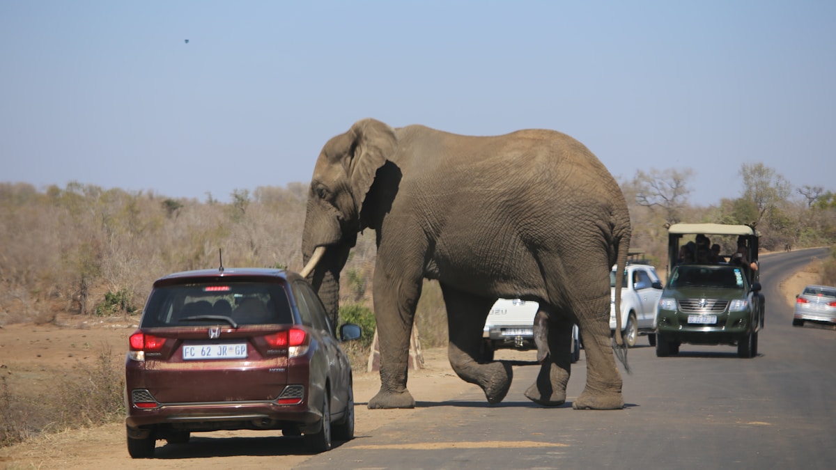 YouTube TV és Disney: Csatornaháború folytatódik