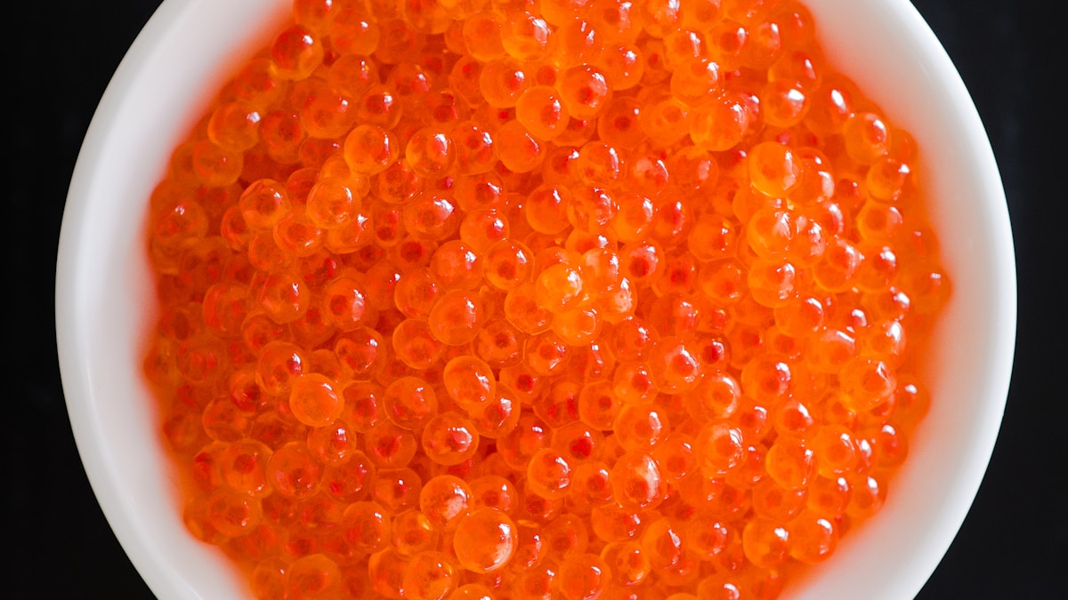 A kaviárkirály: Diego Sabino egy napja