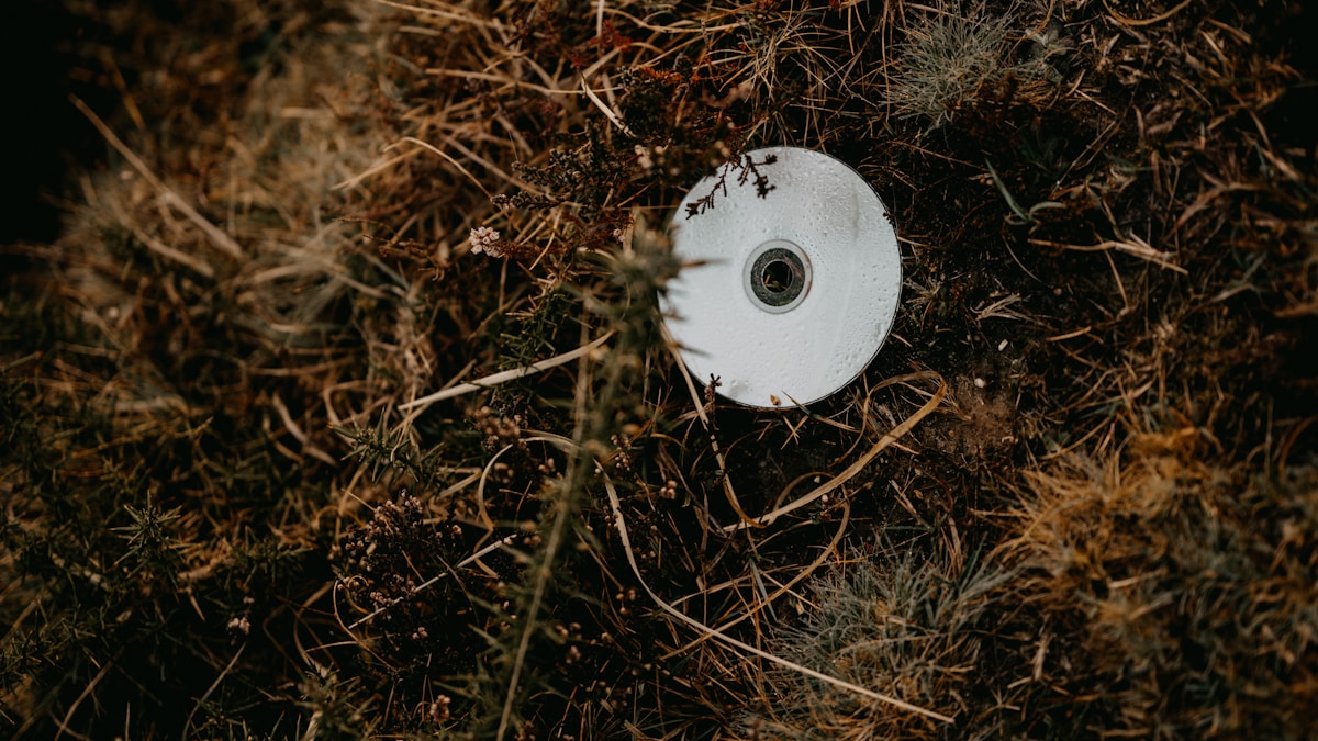 Kidlingtoni Hulladékhegy: Letartóztatás a Környezetvédelmi Ügynökségtől