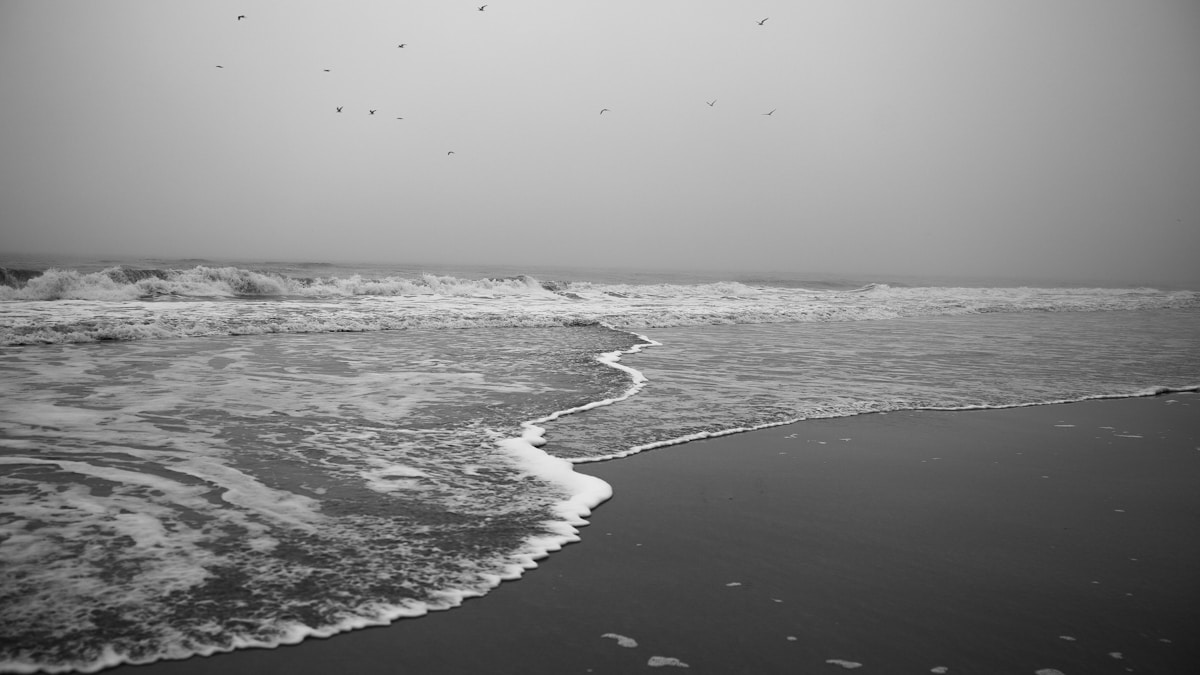 JAX forradalmasítja a gazdasági modellezést