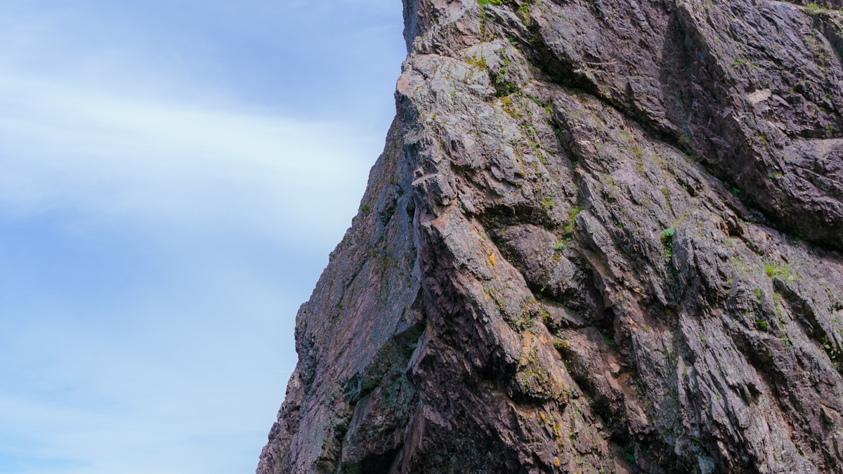A halálos baleset árnyékában: miért szűnnek meg a horgászversenyek Alabamában A halálos baleset árnyékában: miért szűnnek meg a horgászversenyek Alabamában