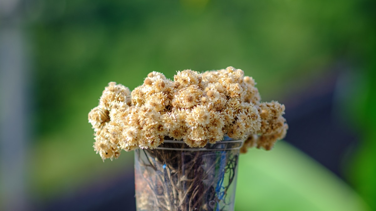 Idő nélküli élet a sarkkörön túl Idő nélküli élet a sarkkörön túl