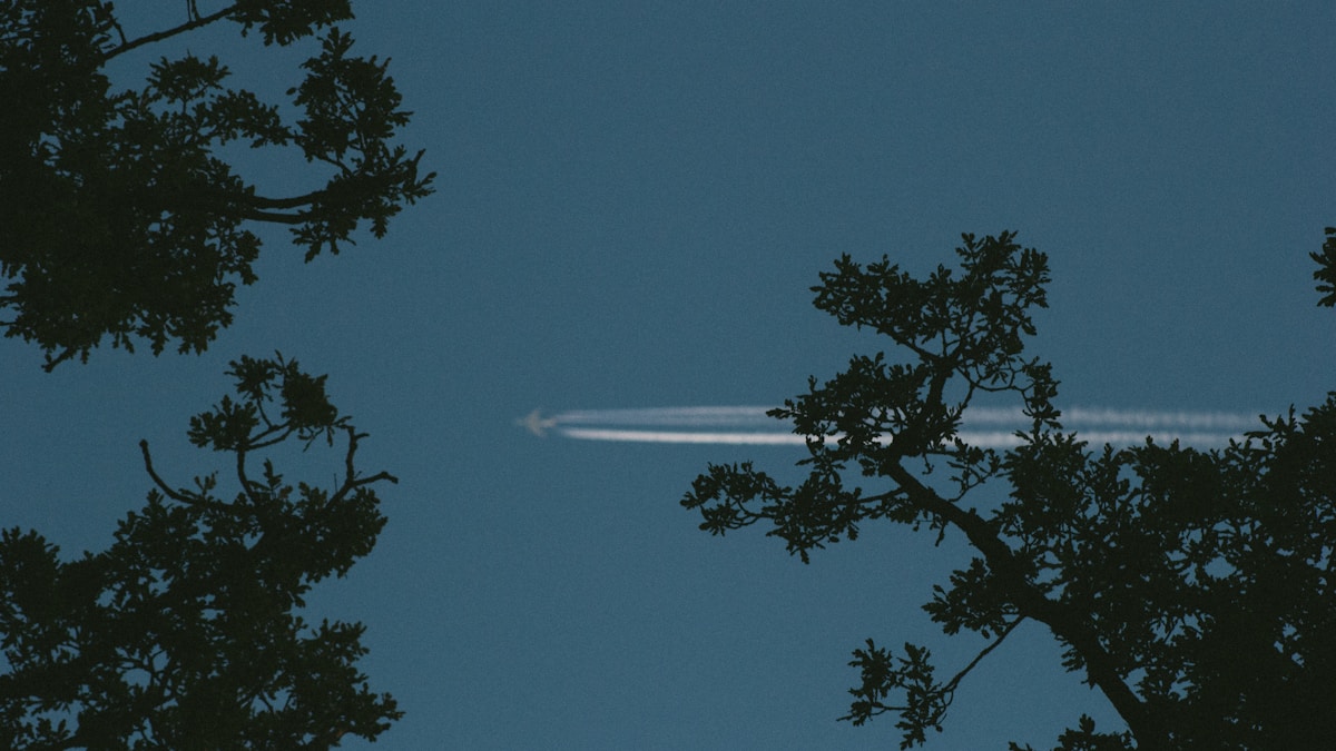 Al Gore klímaváltozást okol Orbán Viktor emelkedéséért Al Gore klímaváltozást okol Orbán Viktor emelkedéséért