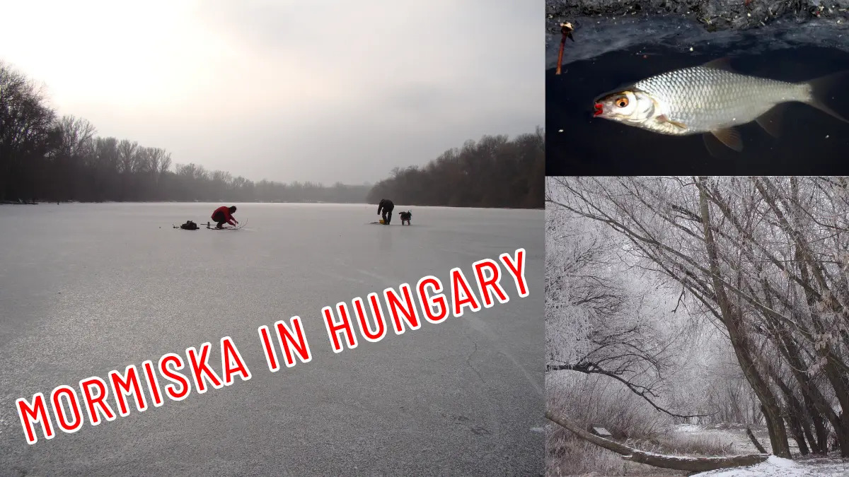 Mi a mormiska – lehengerlő amikor „tényleg nem a méret számít”