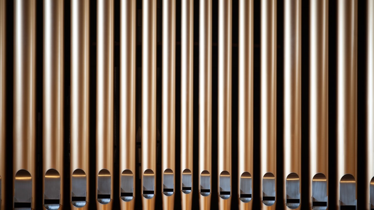 A szervélet fenntartás forradalma