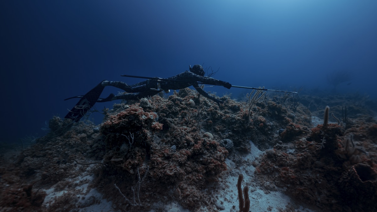 A mélység és a bizalom mestere