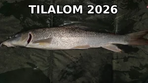 Márna tilalom 2026