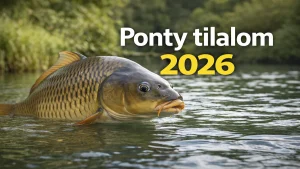 Ponty tilalom 2026