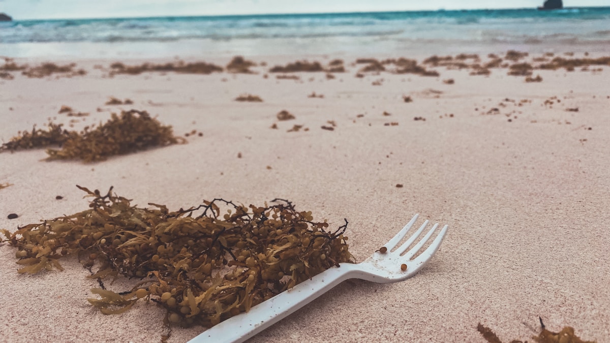 Az eldobható rendszerek architektúrája Az eldobható rendszerek architektúrája