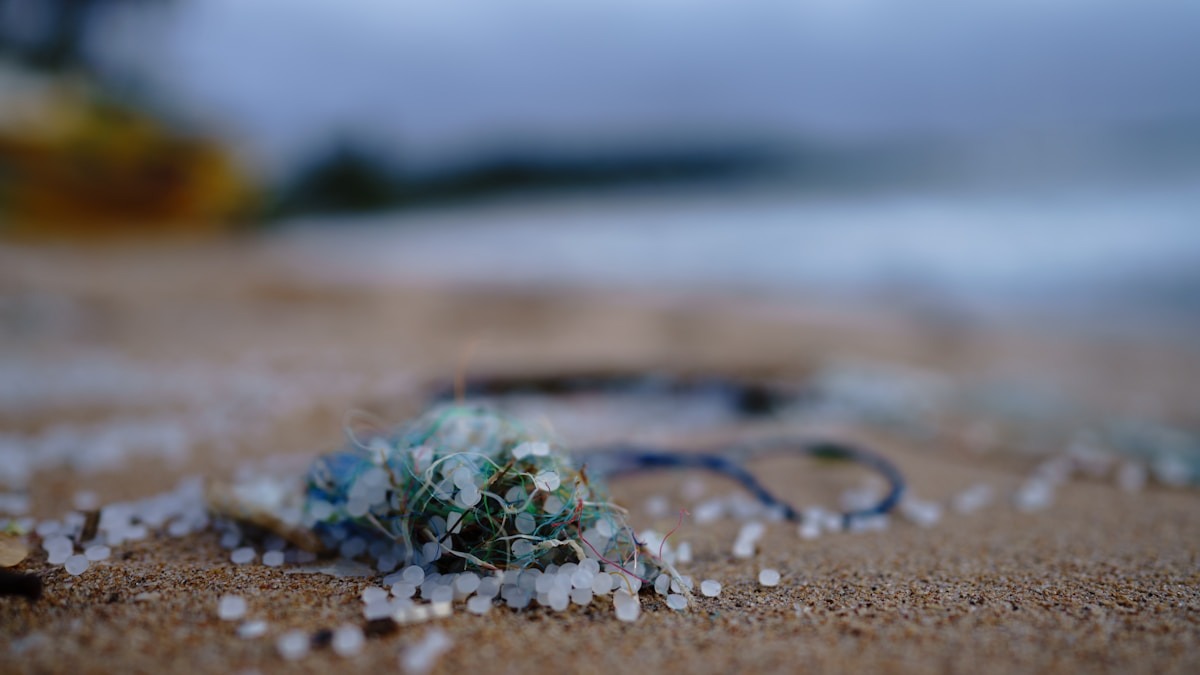 Mikroműanyagok a Csendes-óceáni halakban – táplálékbiztonsági riadó