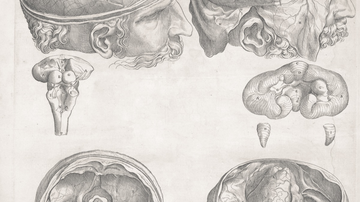 Az idegrendszer és a tüdőrák kapcsolata