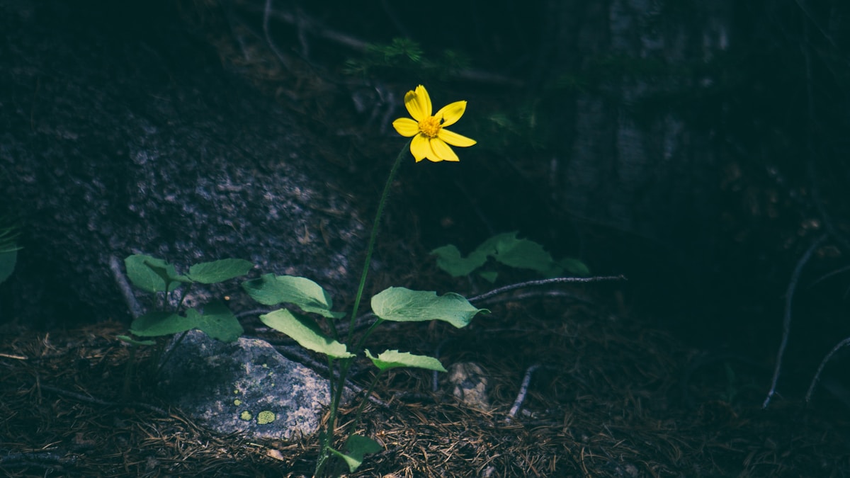 Kisgyermek túlélte a spanyolországi vonatkatasztrófát Kisgyermek túlélte a spanyolországi vonatkatasztrófát