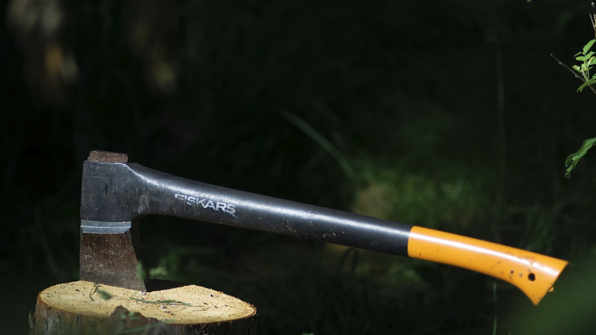 Egy tehén eszközt használ – a tudomány meglepetésére