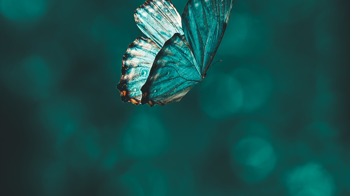 Külföldi Életem Megváltoztatta az Ételhez Való Viszonyomat