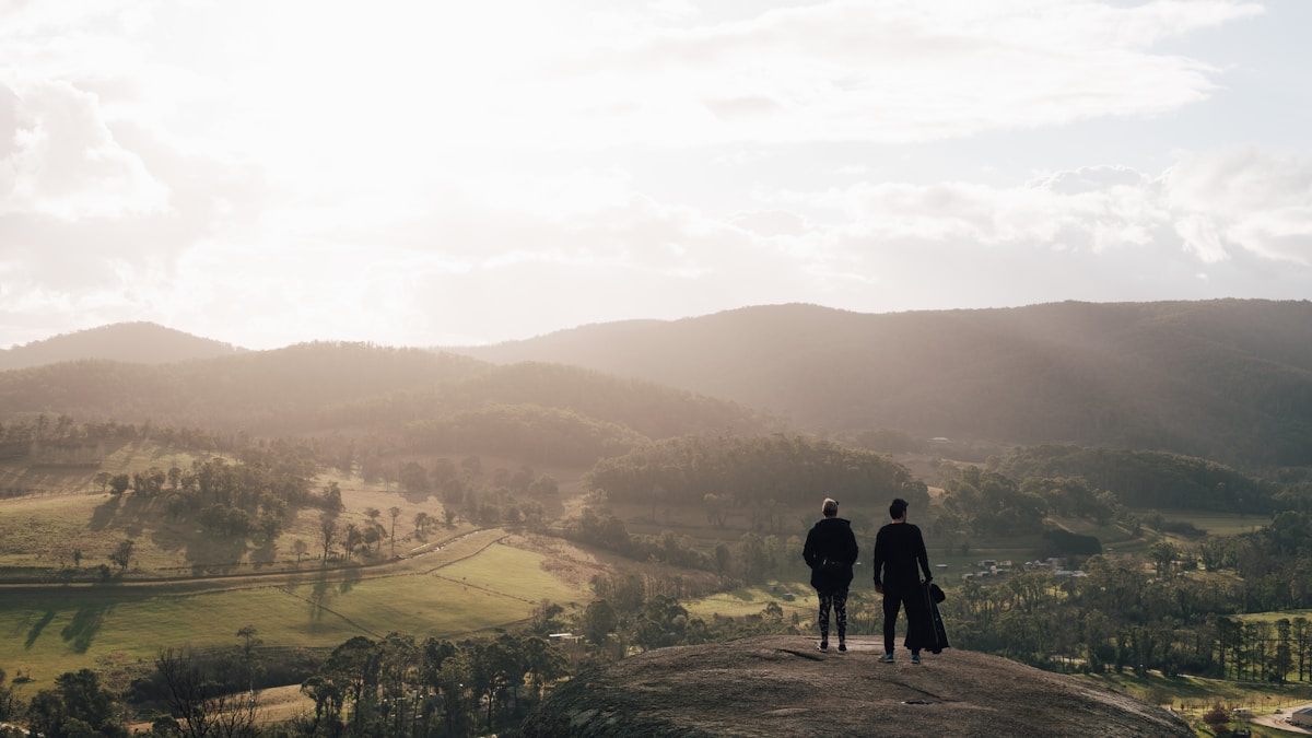Ragadozó bálnák csontjai árulkodnak Ragadozó bálnák csontjai árulkodnak