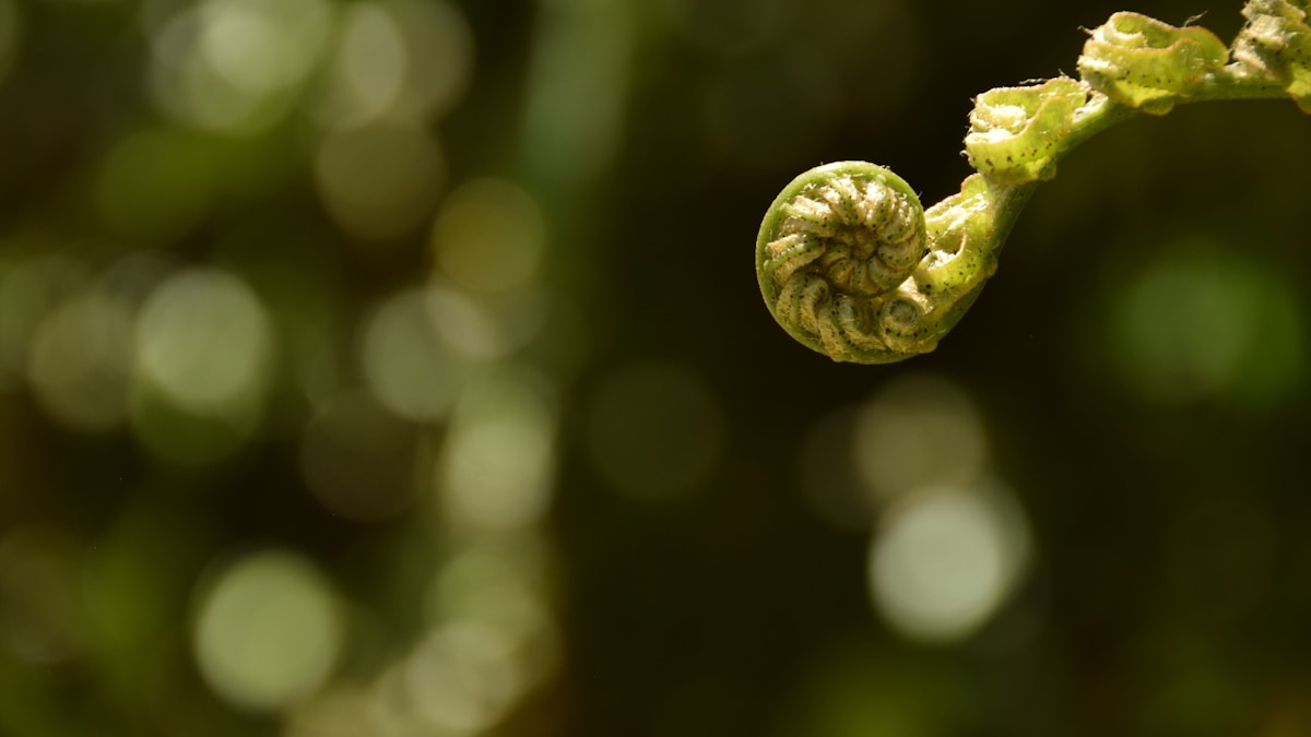 Az Egyszerűből a Komplexbe