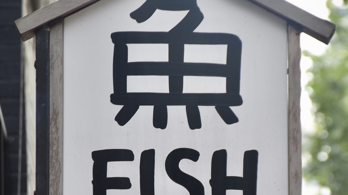 A Hal Harcosa: A Filet-O-Fish tortenete