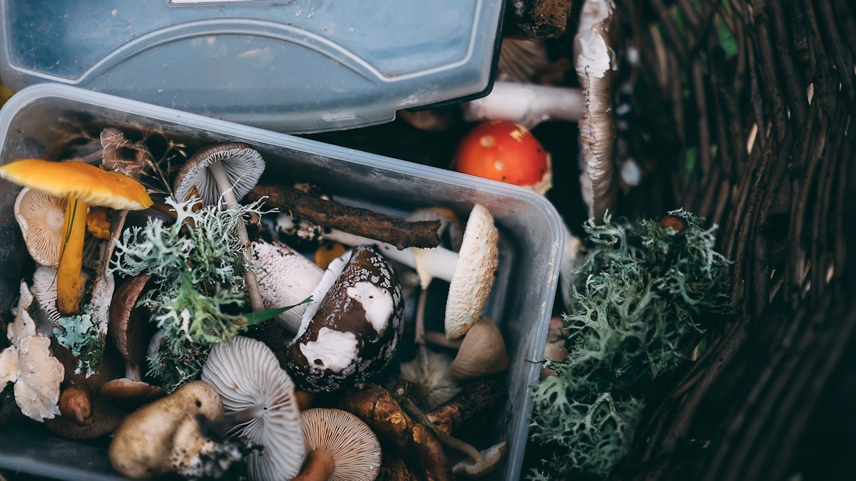 Gasztarai kaland a természet szívében Gasztarai kaland a természet szívében