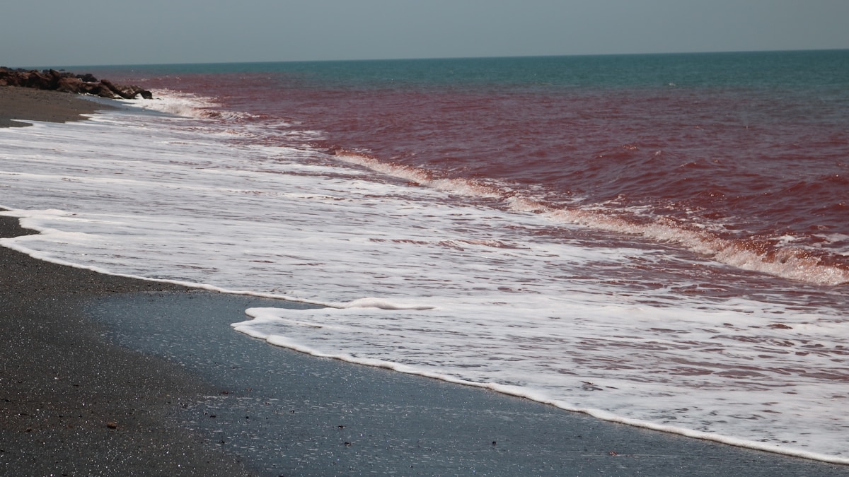 A Hormuzi-szoros: Irán új fegyvere és bevételi forrása