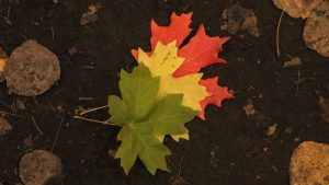 Új korszak kezdődik Magyarország és az EU kapcsolatában