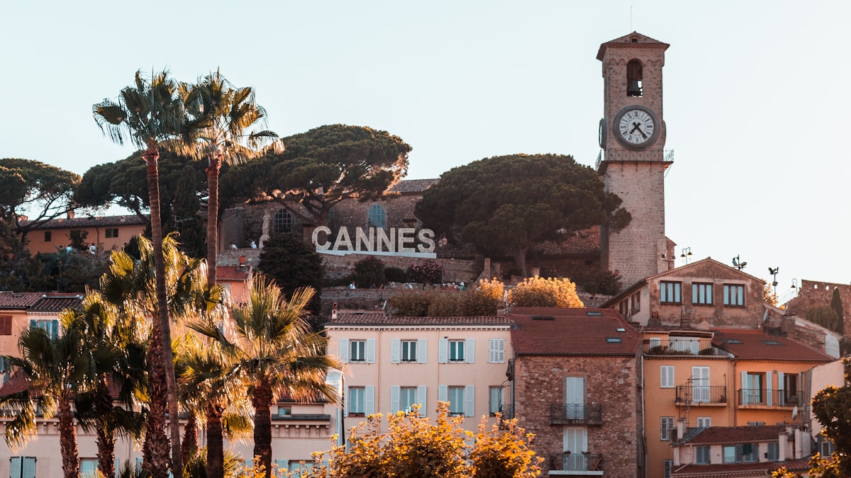 A Cannes-i filmcsomag globális sikere