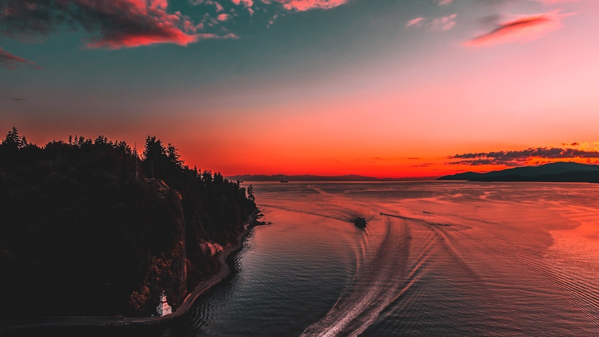 A Macska és a Képernyő: Technológia az Állati Jólétért