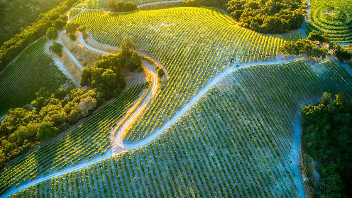 Paso Robles: Kalifornia rejtett bor- és gasztrogyöngyszeme Paso Robles: Kalifornia rejtett bor- és gasztrogyöngyszeme