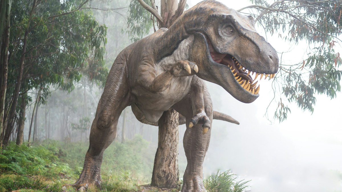 A T rex testhoje 97 fokos volt A T rex testhoje 97 fokos volt